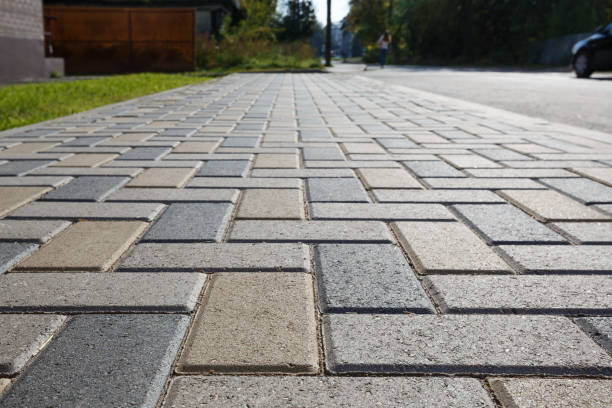 Best Local Driveway Pavers  in Barrackville, WV