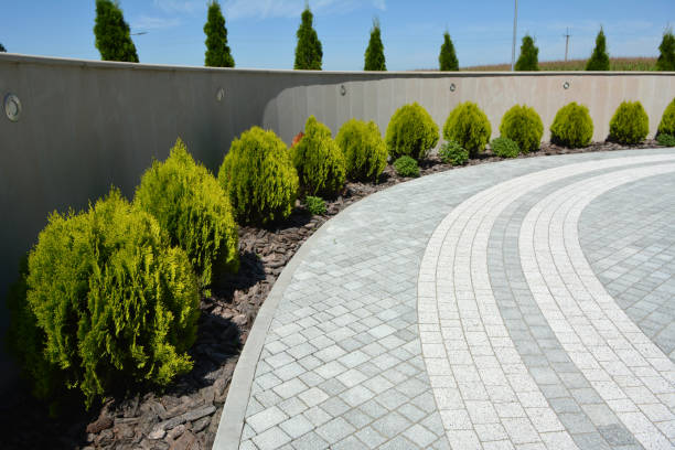 Best Local Driveway Pavers  in Barrackville, WV